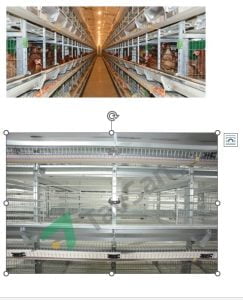 tavasan-enrichable-layer-cage-system