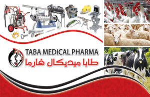 Fiber glass Syringes and dosing